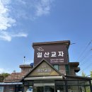 고기원칙고양 | [고양 맛집] 일산교자 본점 | 최화정 유튜브 택배 맛집, 40년 전통 왕만두·닭칼국수·파전 솔직 후기