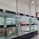 이쁘개 건강하개 이미지