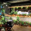 어반브런치 이미지