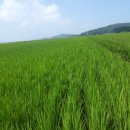 신지농장 이미지