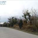 서광리-23 이미지