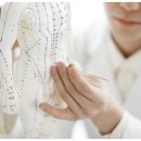 참나무한의원 이미지