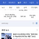 KSA 체대입시학원 이미지