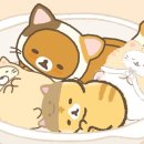 더볼륨