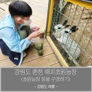 강원한우체험농장 이미지