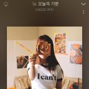 도린 이미지