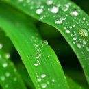 기쁨목장 이미지