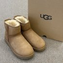 신사의 명품세탁 | 클래식 미니 2 체스넛 부츠 / 착용샷 / 240 사이즈 후기 / 사이즈 팁 / 어그 미니 부츠 , 꾸안꾸 겨울...