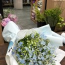 SPRING 행복콘서트 | [공연] 싱어송라이터 손예지 단독 콘서트 spring radio session 후기(롤링홀 1열 시야) | 손예지가 너무...