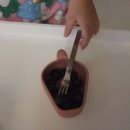 달콤한아침 | 달콤한 미국산 냉동 블루베리 간편한 아침 건강간식 내돈내산 후기