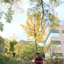 송촌목장 | 광주 단풍이 아름다운 곳) 양림동 - 호랑가시나무언덕, 우일선 선교사 사택, 사직공원