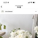 비바플라워