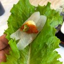 백김치새싹막회 이미지