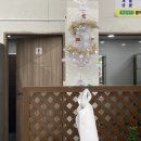 완도수산야채막회 이미지