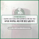[원단총각] 호야 엔터테인먼트, 경상북도 경산, 공연...부직포 파이텍스 대폭 원단, 레드카펫 납품 후기