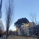 김쌤헤어 네이버블로그