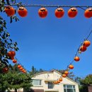 야은로-21 이미지