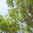 스테이청춘 이미지