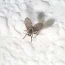 친구당구장 이미지