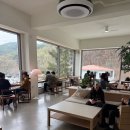 탑골길 | 양산 브런치 카페 벚꽃 애견동반 가능한 무무도 추천