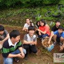 명신초등학교 이미지