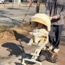 코지11 | 내돈내산, 11개월 아기 에이블 트라이크 코지샤인 구매 후기(카푸치노 화이트)