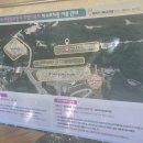 어르신쉼터(온양온천역 방문객센터) | 2026 무릉별유천지 라벤더축제 직접다녀온 후기 주차장·6월축제·입장료·최적 동선 동해 무릉별...