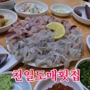 따봉도매횟집 이미지