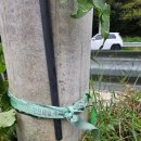 오광농장 이미지