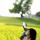 강남 합기도 이미지