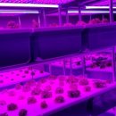 광주현대농장 이미지