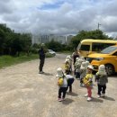 자연나라숲속유치원 이미지