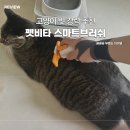 하나광고 앞 | 인스타 광고템 | 펫비타 스마트브러쉬 고양이 빗 내돈내산 후기
