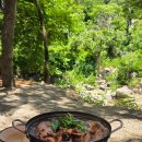 자연알로(광덕) | [내돈내산] 🌿 천안 계곡 맛집 우림가든!광덕계곡에서 능이토종닭백숙 먹고 물놀이까지 즐긴 여름 힐링...