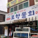 수백당 모라점 | 포항물회모라 내돈내산 모라동포항물회 맛집 솔직후기 사상구 물회맛집