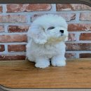 천상의 맛 이미지