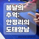 안정순환로164번길 | 봄날의 추억~안정리 처음갔던날 썰❣️안정리 즐기기