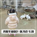 소금별베이커리 | 대구 근교 아기랑 | 칠곡 카페 포세이돈에서 토끼 구경, 뷰 좋은 카페