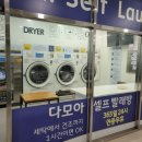 다모아 빨래방 이미지