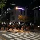 아라뱃길 승마클럽 | 말'을 타다 ㅡ 아라뱃길 승마 클럽