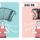 온엘로필라테스