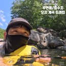 엄광산 가야약수터 위 임도 | 강원도 오지 탐험 : 강릉 부연동계곡에서 양양 법수치계곡 트레킹 코스