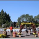 강원도립화목원 이미지