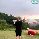 더숲(the 숲) 이미지