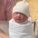 몸펴기 생활운동 A | 출산 일기|응급 제왕절개 5박 6일 입원 후기