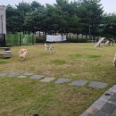 문암생태공원(반려견놀이터) 이미지