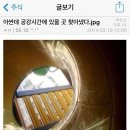 아싸 이미지