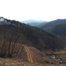 지장사지 이미지