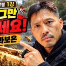 🐝 봉판이 많으면 벌이 잘 클까요? 과보온이 벌 키우기를 어렵게 하는 이유 이미지