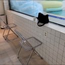 573 스위밍풀 연제점 이미지